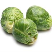 Brussels Sprout