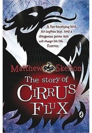 The Story of Cirrus Flux (Matthew Skelton)