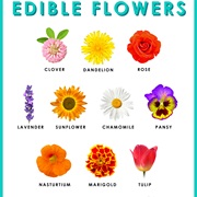 Edible Flower