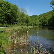 Kanawha State Forest, West Virginia