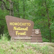 Homochitto National Forest