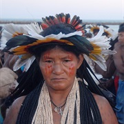 Umahara Headdress of the Rikbaktsa People