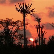 Quiçama National Park, Angola
