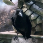 The Ravens of Erebor