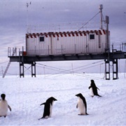 The International Telephone Area Code for Antarctica Is 672.