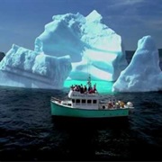 Visit an Iceberg