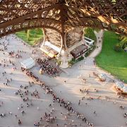 Have Lunch in the  Eiffel Tower