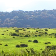 Horton Plains - Sri Lanka