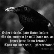 Poe&#39;s the Raven