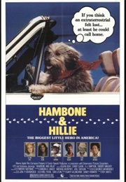 Hambone and Hillie (1983)