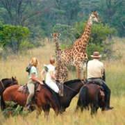 African Safari by Horseback