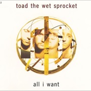 All I Want - Toad the Wet Sprocket
