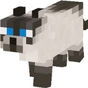 Minecraft Cat