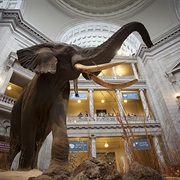 Smithsonian Museum, Washington