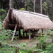 Camp on the Amazon