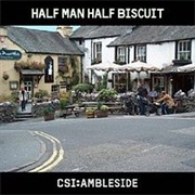Half Man Half Biscuit - CSI: Ambleside