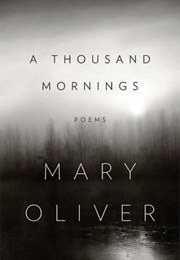 A Thousand Mornings (Mary Oliver)