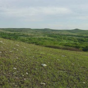 Konza Prairie Research Natural Area, Kansas