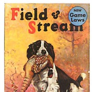 Field and Stream