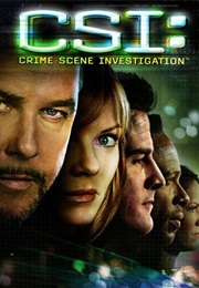 CSI: Crime Scene Investigation (2008)