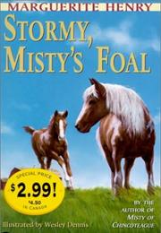 Stormy, Misty&#39;s Foal