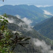 Ecuador&#39;s Cloud Forests