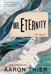 Mr Eternity (Aaron Thier)