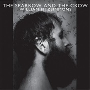 William Fitzsimmons - Sparrow and the Crow