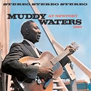 Muddy Waters at Newport 1960
