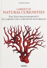 Cabinet of Natural Curiosities (Albertus Seba)