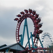 Steel Flying Roller Coaster