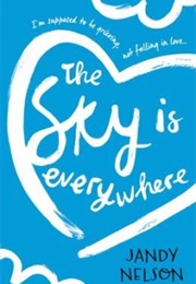 The Sky Is Everywhere (Jandy Nelson)