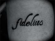 Fidelius