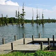 Big Lake National Wildlife Refuge