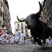Bull Running in Spain