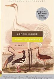 Lorrie Moore Birds of America