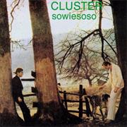 Cluster - Sowiesoso