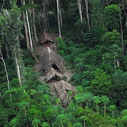 Visit an Amazonian Tribe