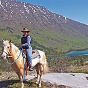 Horseback Riding, Whitehorse, Yukon Territory