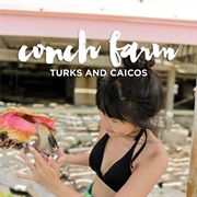 Conch Farm, Turks &amp; Caicos