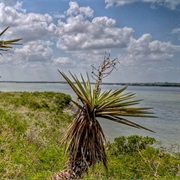 Lake Corpus Christi State Park, Texas