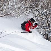 Go Snowboarding/Skiing