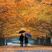 Walks in Autumn