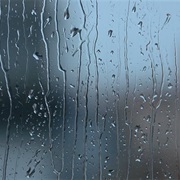 Rain on the Window Pane