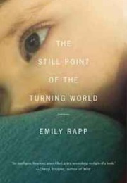 The Still Point of the Turning World (Emily Rapp)