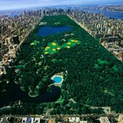 Explore Central Park