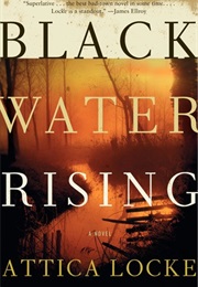 Black Water Rising (Attica Locke)