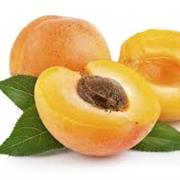 Blenheim Apricot