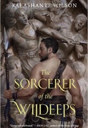 The Sorcerer of the Wildkeeps (Kai Ashante Wilson)