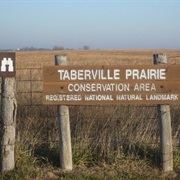 Taberville Prairie Conservation Area, Missouri